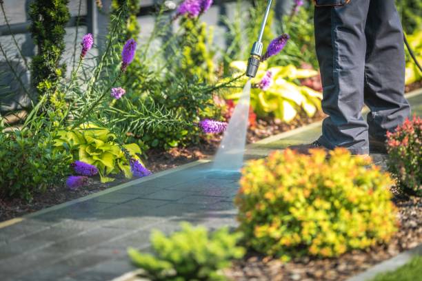 Professional Pressure Washing Services in Rushville, IL