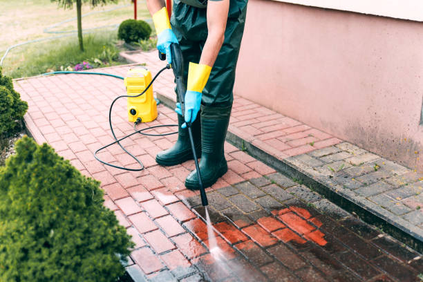 Best Driveway Pressure Washing  in Rushvle, IL