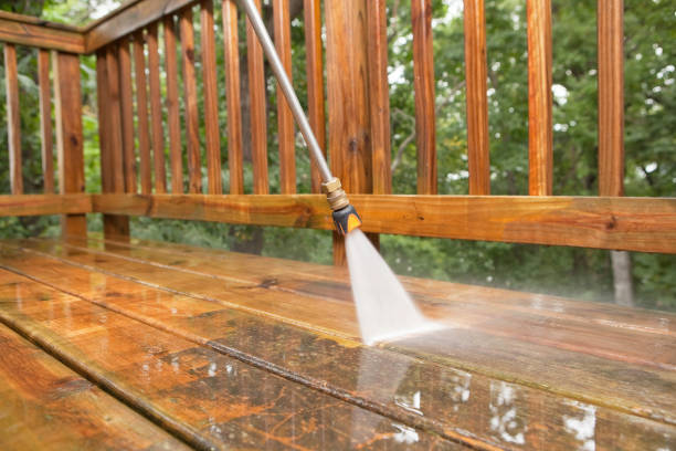 Best Dumpster Area Cleaning  in Rushvle, IL
